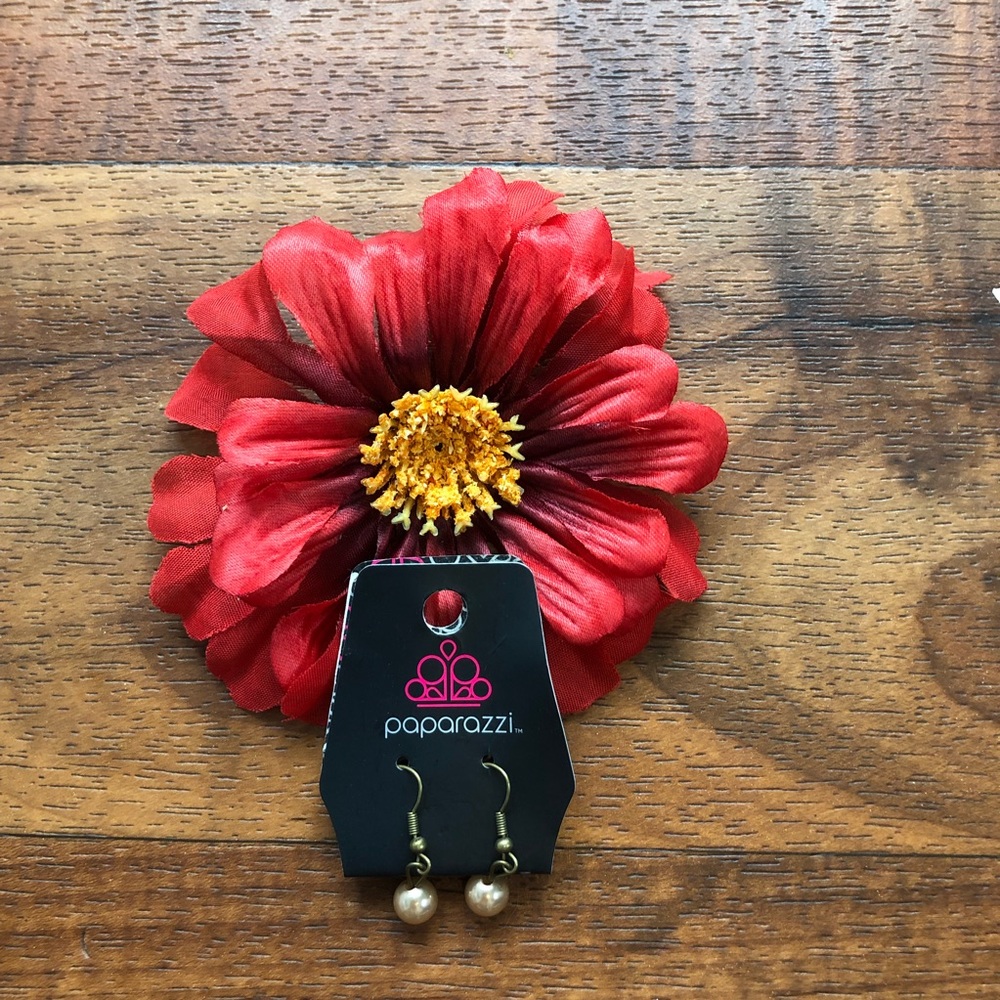 Paparazzi Bronze Colored Earrings